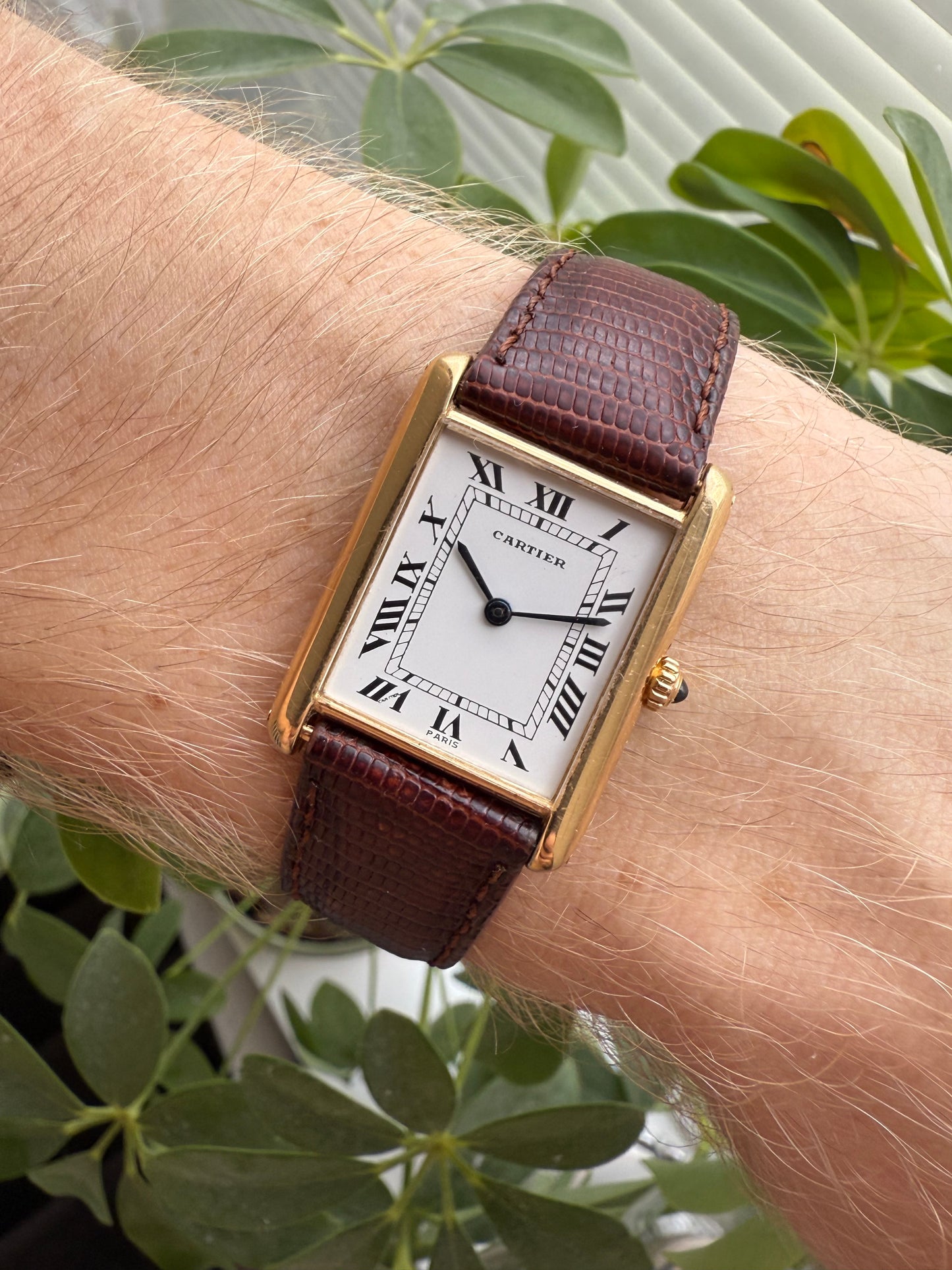 Cartier Tank Louis 18k Gold Ref. 8810