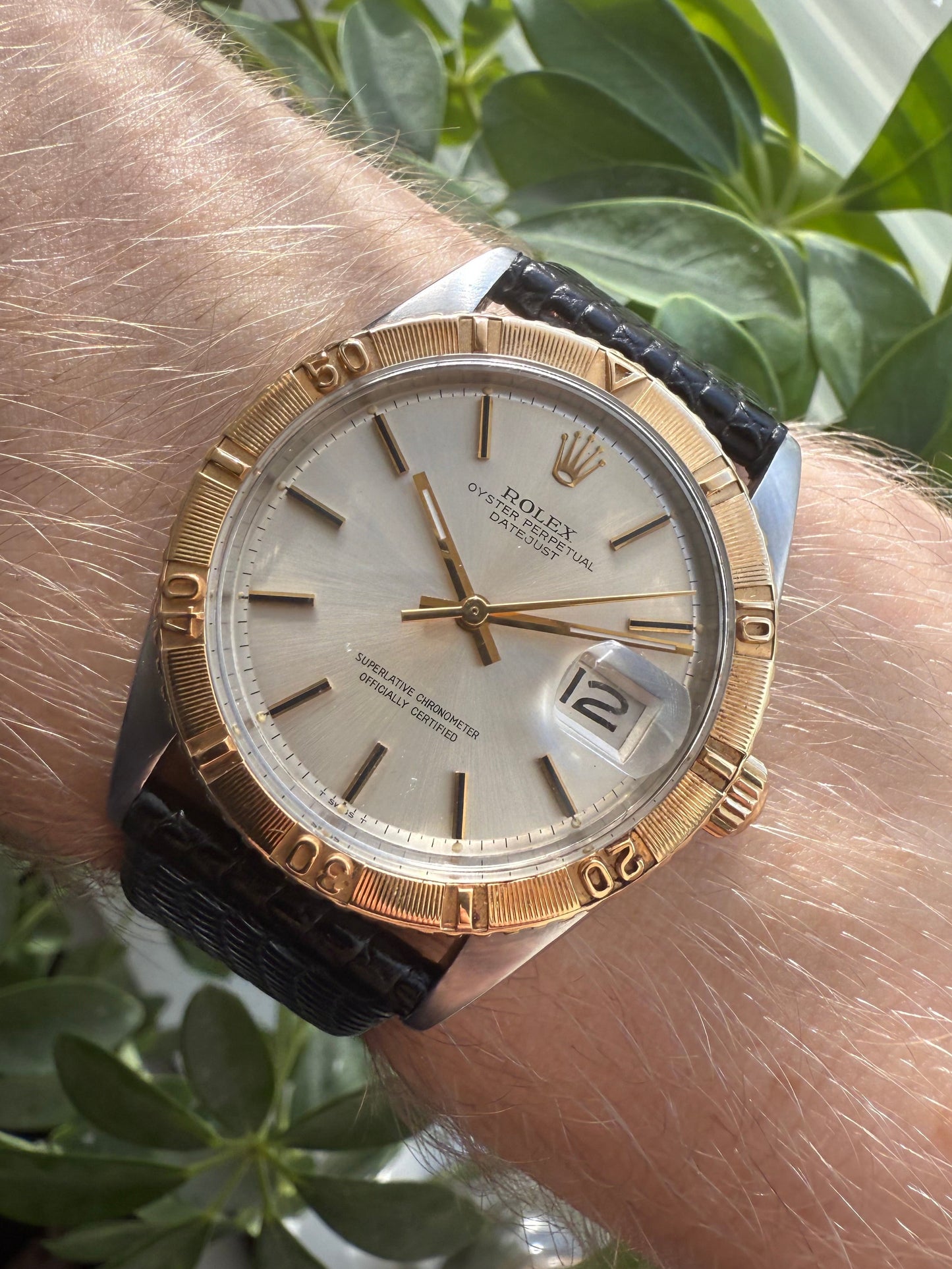 Rolex Datejust Turnograph Thunderbird 36mm Steel & 18k Gold Ref.1625