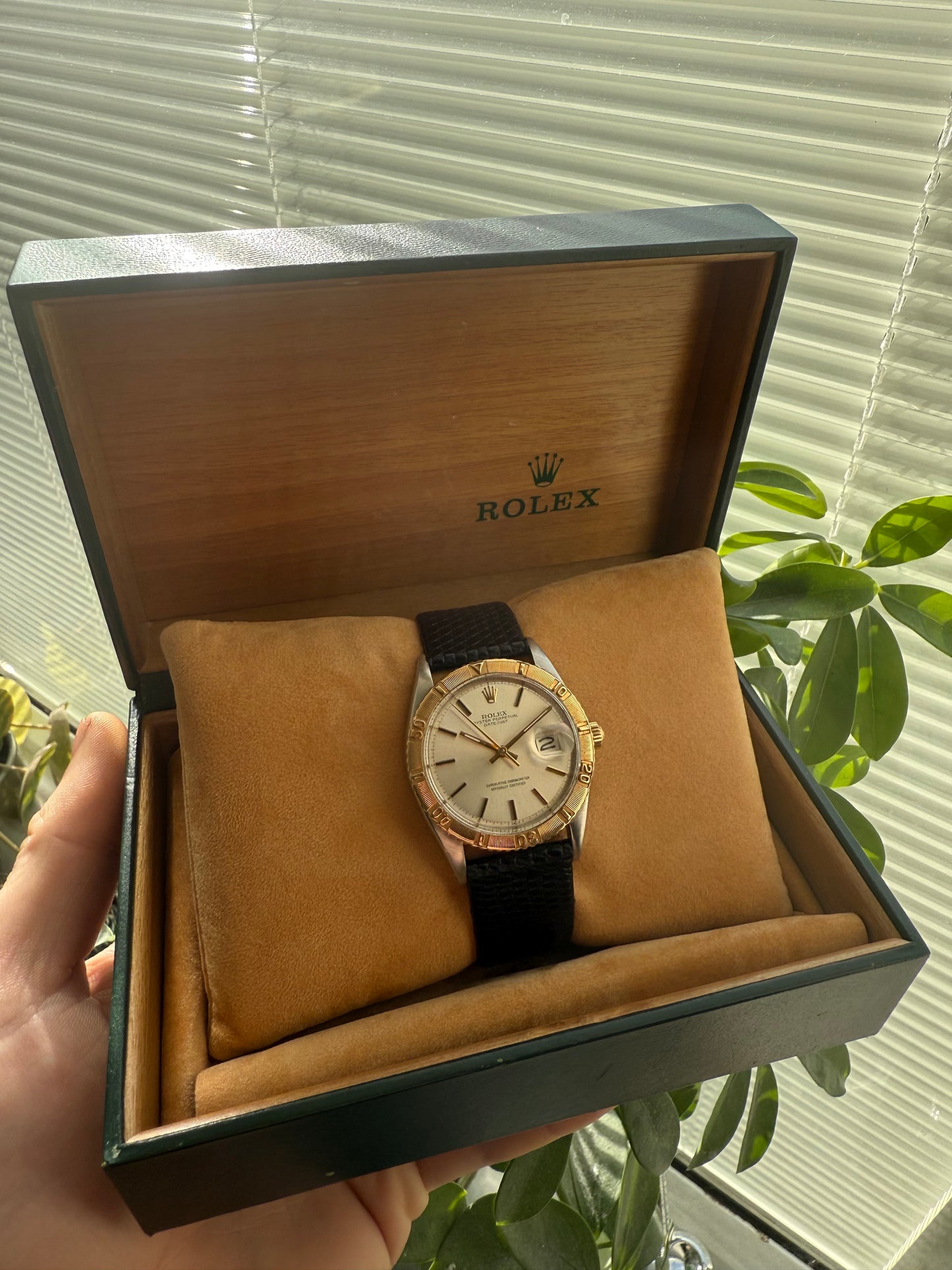 Rolex Datejust Turnograph Thunderbird 36mm Steel & 18k Gold Ref.1625