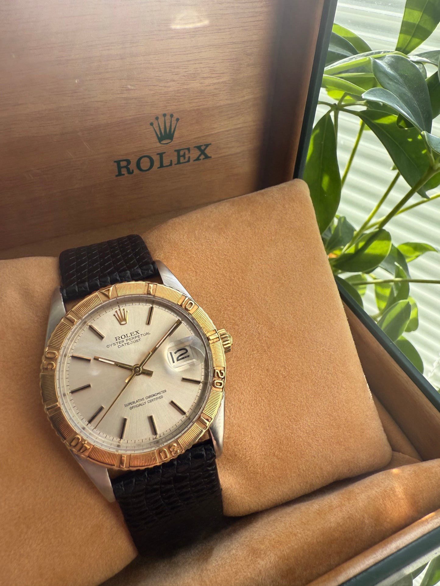 Rolex Datejust Turnograph Thunderbird 36mm Steel & 18k Gold Ref.1625