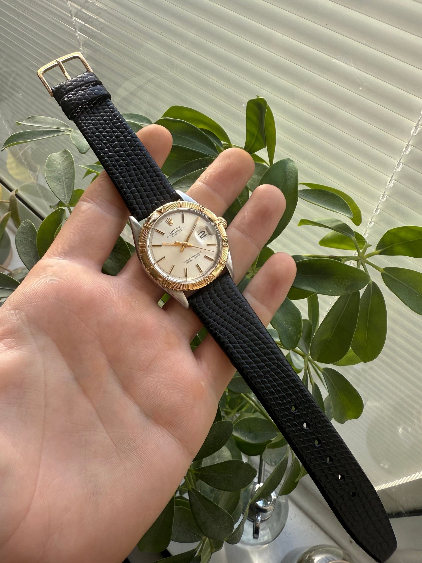 Rolex Datejust Turnograph Thunderbird 36mm Steel & 18k Gold Ref.1625