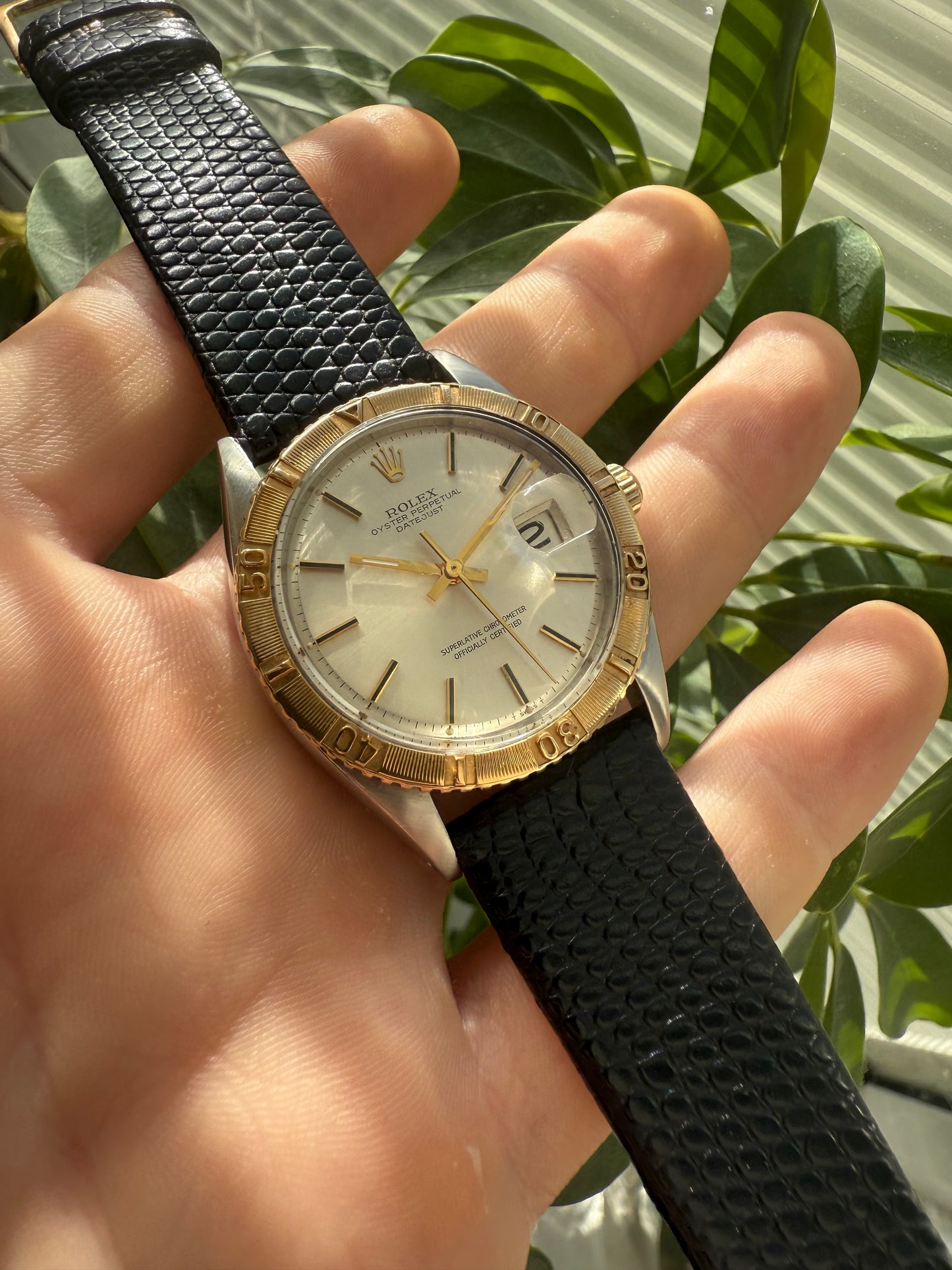 Rolex Datejust Turnograph Thunderbird 36mm Steel & 18k Gold Ref.1625