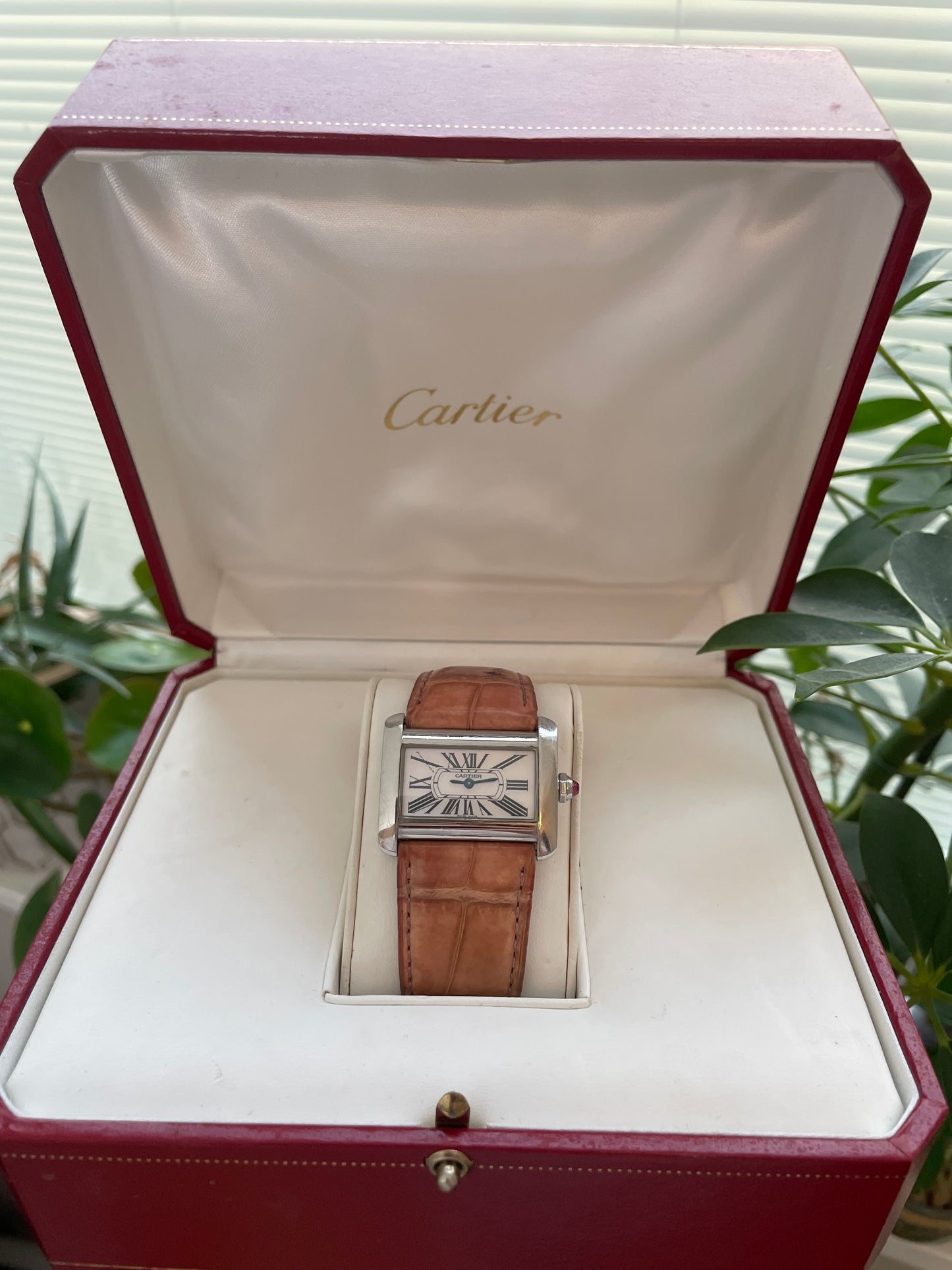 Cartier Tank Divan Mother Of Pearl Ref.2599